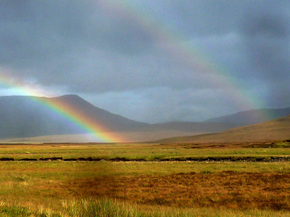 24 Culra double rainbow