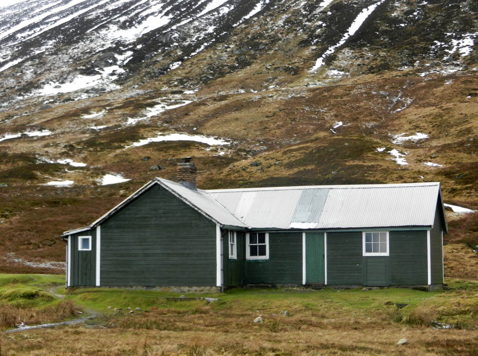 25 Culra in January 2012