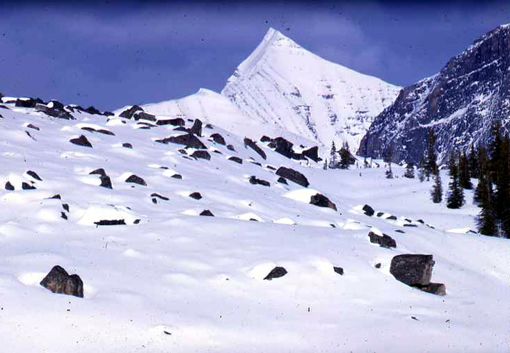 08 The west ridge of Edith Cavell