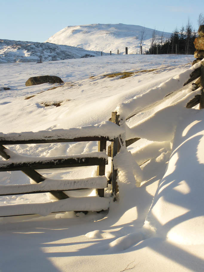 08 Winter in Scotland 2