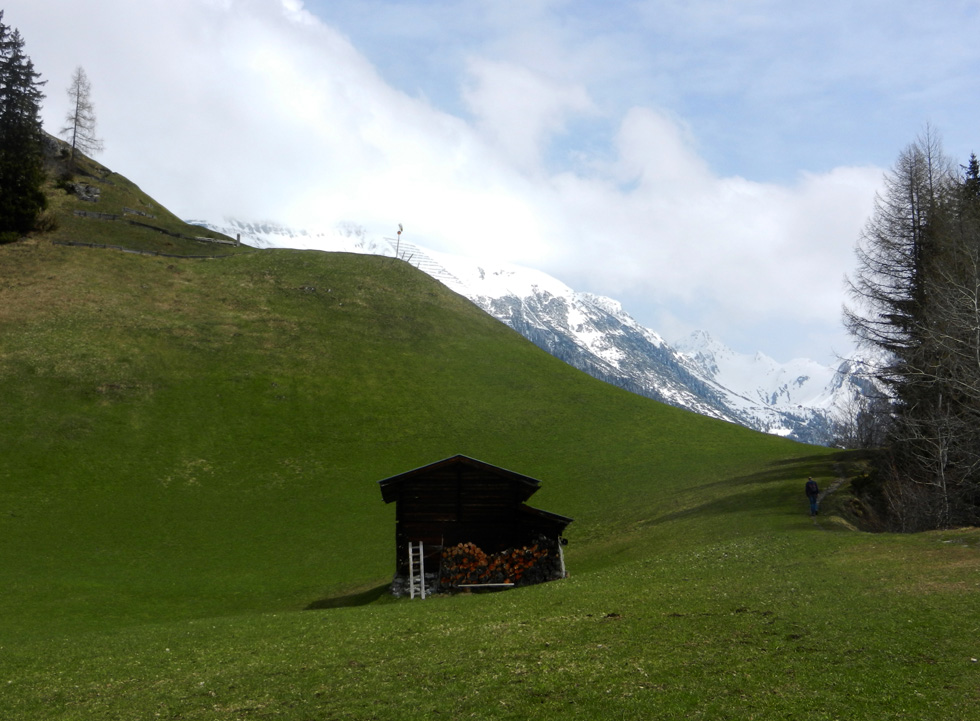 06 Old hay barn above Mayrhofen