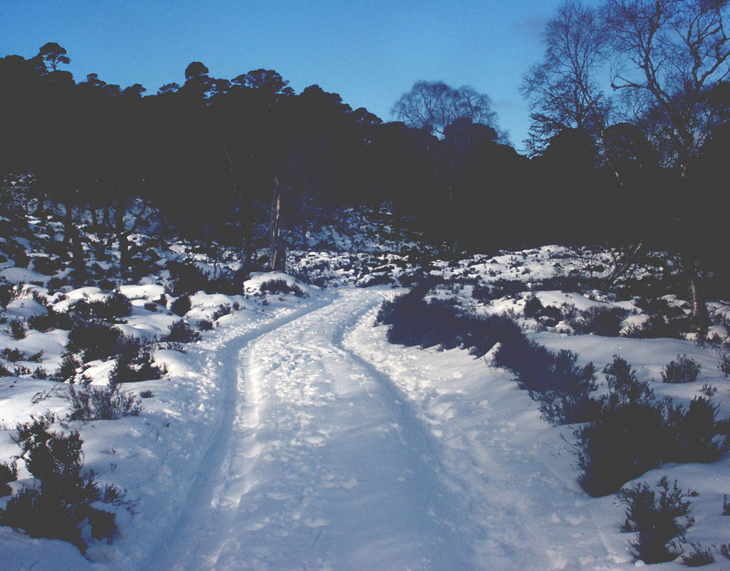 01 The track up Glen Quoich