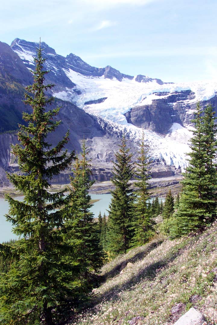 15 Division Mt and icefield from morraine