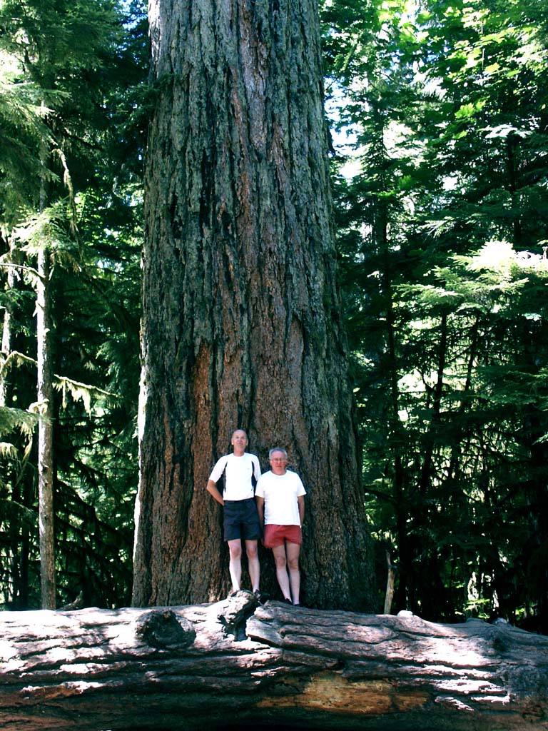 Cathedral Grove Johnny and Grant