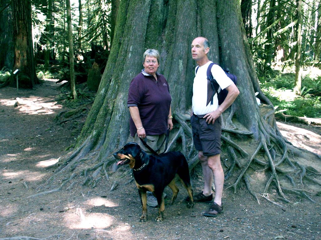 Cathedral Grove Pat and Johnny