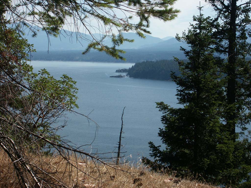 Main Island Denman Island and Lambert Channel from the Bench Trail