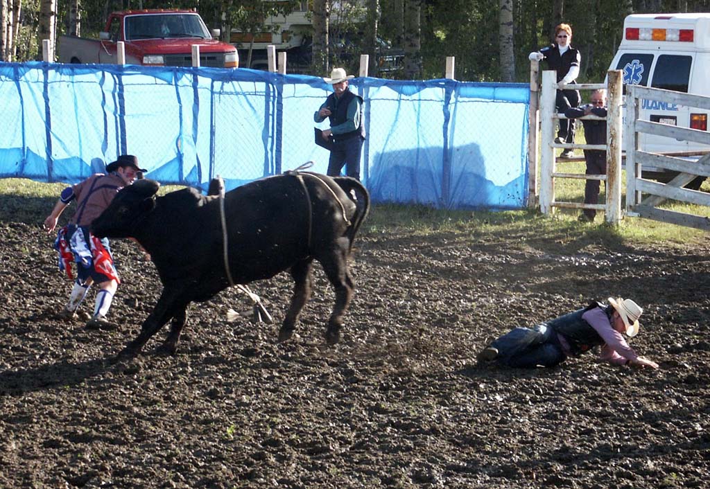 Lotsa Bull 5