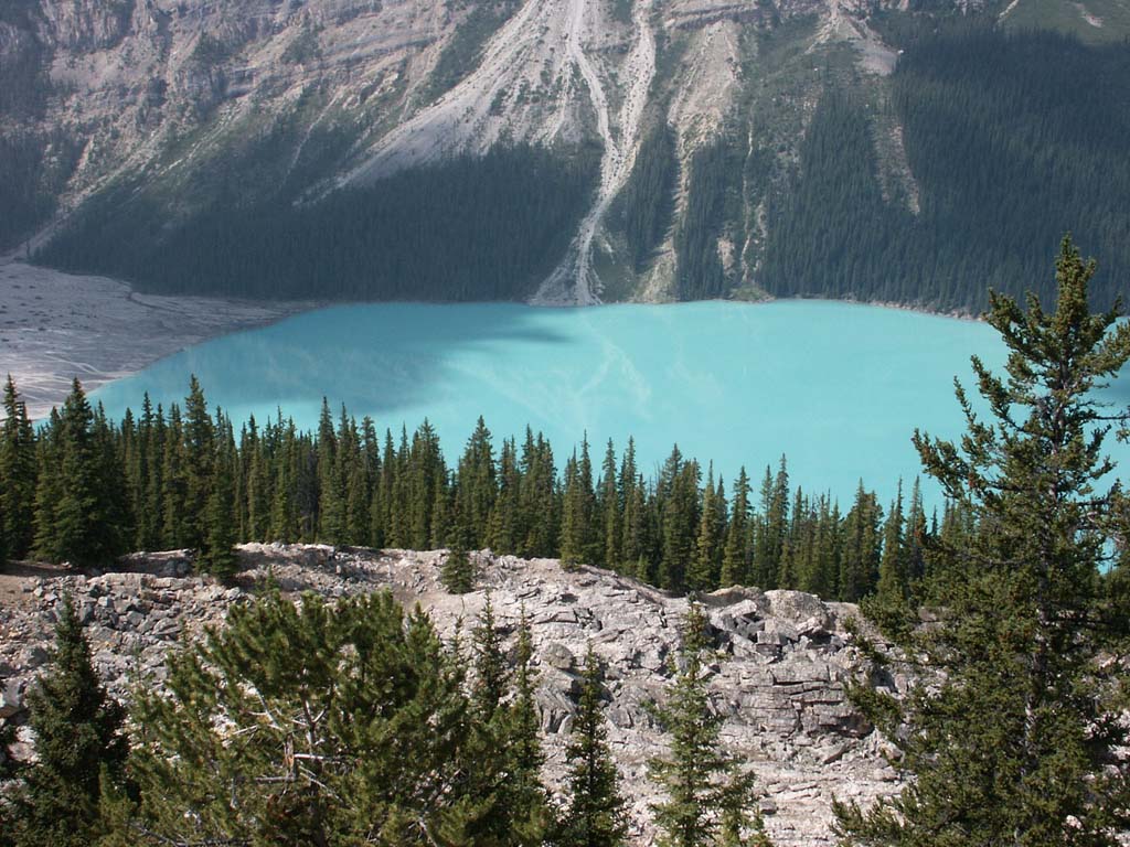 Peyto Lake 1