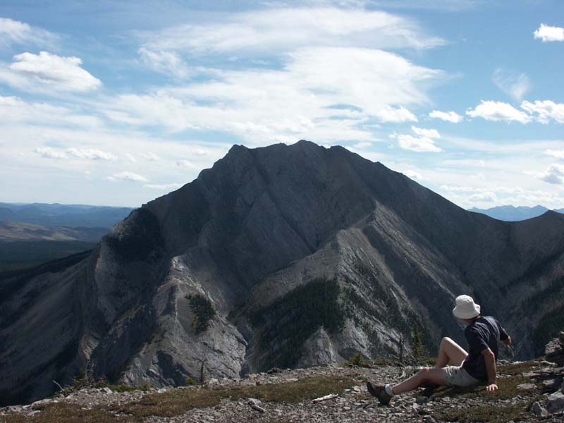 Johnny looking to Mount