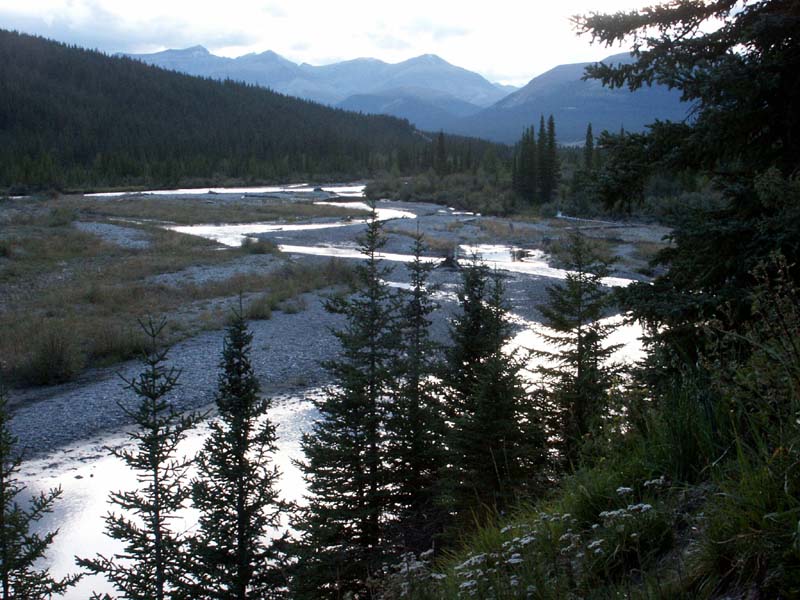 Red Deer River