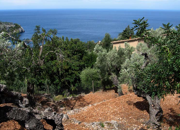 06 The track from Port de Soller to Deia