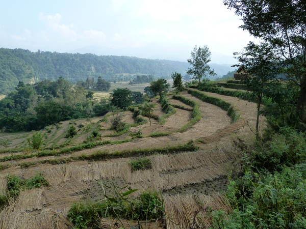 03 Rice paddies on the Besisahar Road