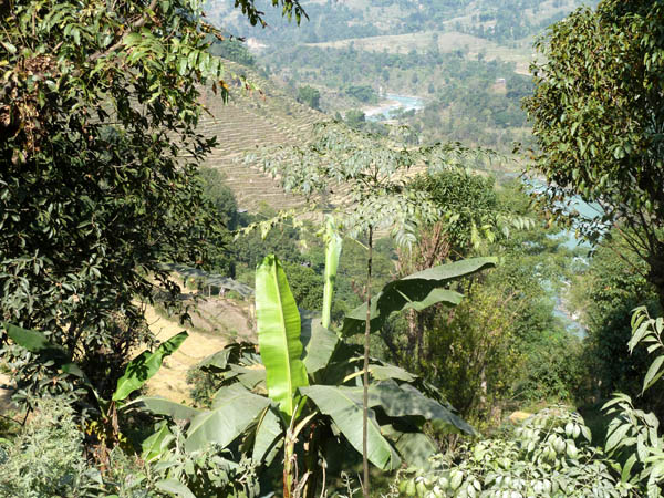 11 Nepalese landscape