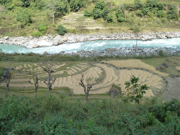 17 Rice paddies and the river