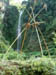 16 Nepalese swing and waterfall at Bhulbule