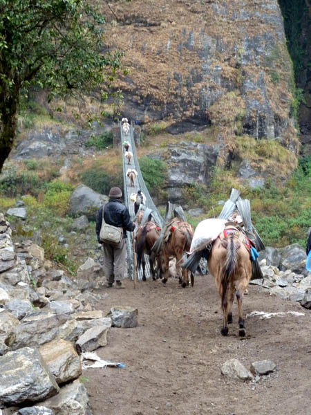 02 Mule train crossing a suspension bridge