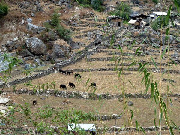 13 Settlement in one of the few flat areas in the valley