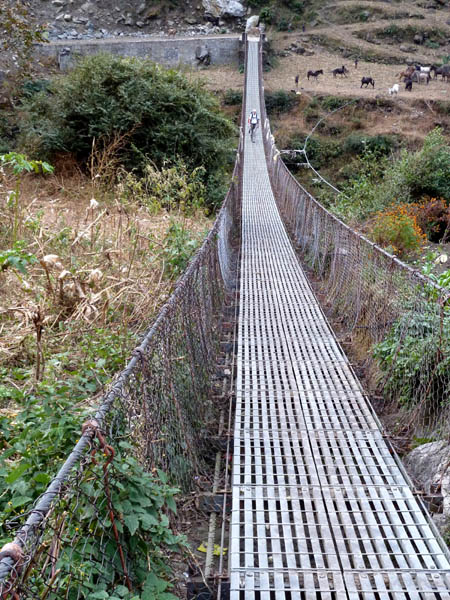 14 Johnny and Arjun crossing a suspension bridge