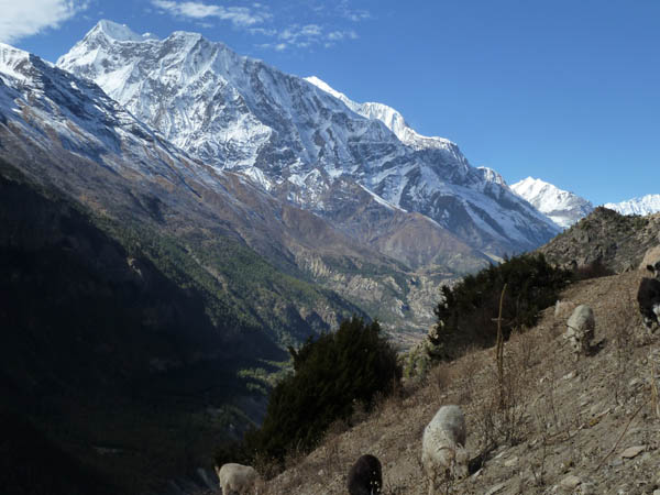 20 Gangapurna starts to come into view behind Annapurna III