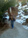 11 Woman hauling pine needles for compost