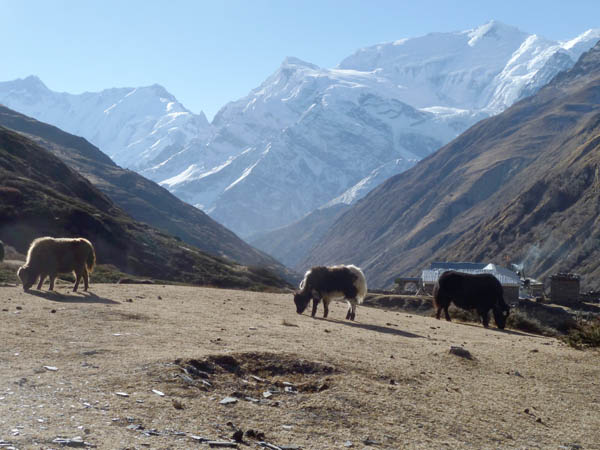 04 Looking back to the Annapurna massif