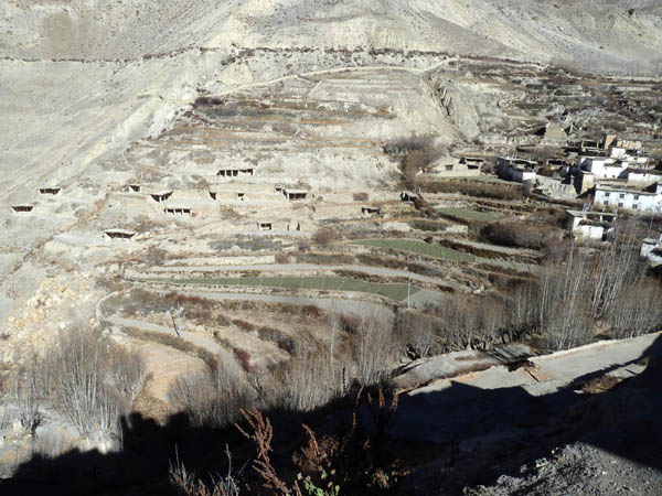 05 View from Jhong Gompa with fields and drying shelters