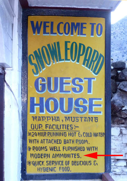 01 Our guest house in Marpha - well endowed with amonites