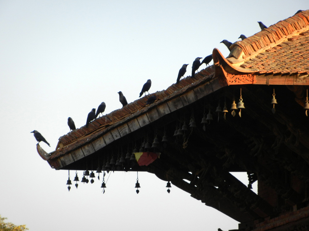 13 More temple roofs in Durbar Square Patan