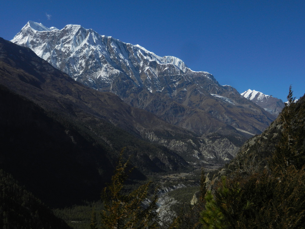 12 The ridge of Gangapurna behind Annapurna III