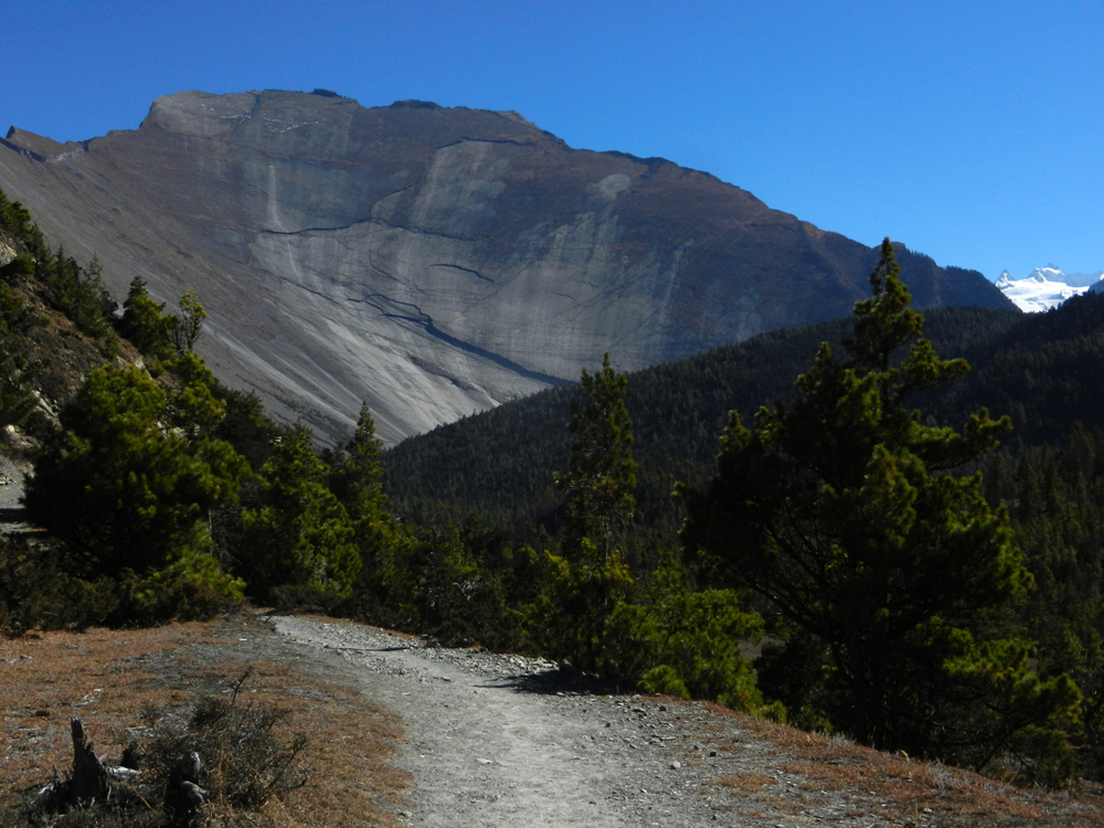 04 A glaciated wall of Himalayan proportions