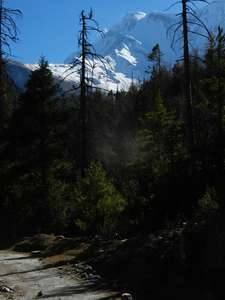 06 Annapurna III getting closer