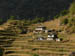 06 Gurung-style houses amid the fields