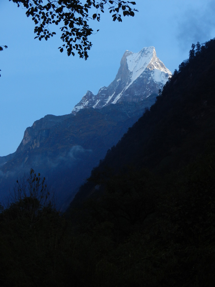 01 Machhapuchhre in the early morning light
