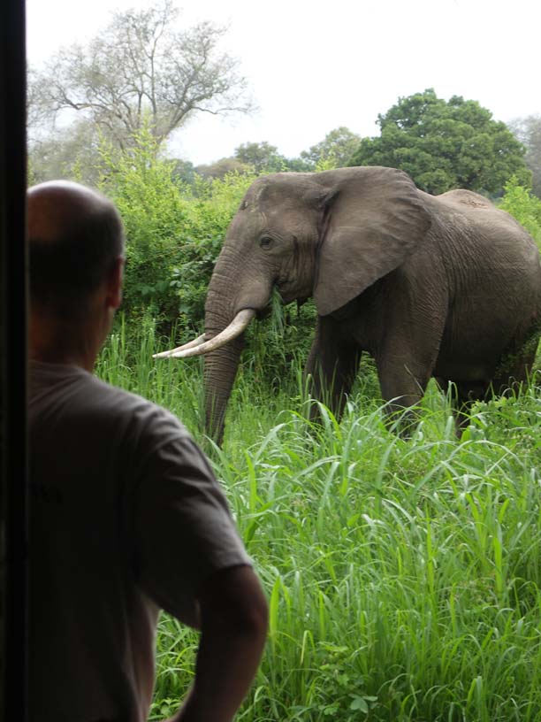 03 Bull Elephant and Johnny