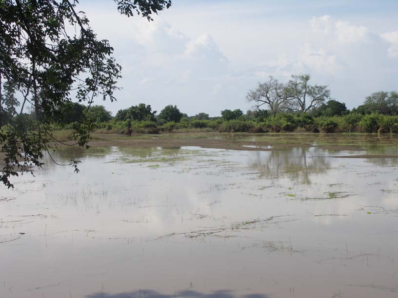 06 New sandbars appearing in the lagoon