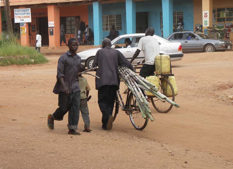 15 Street scene - sugar cane sellers