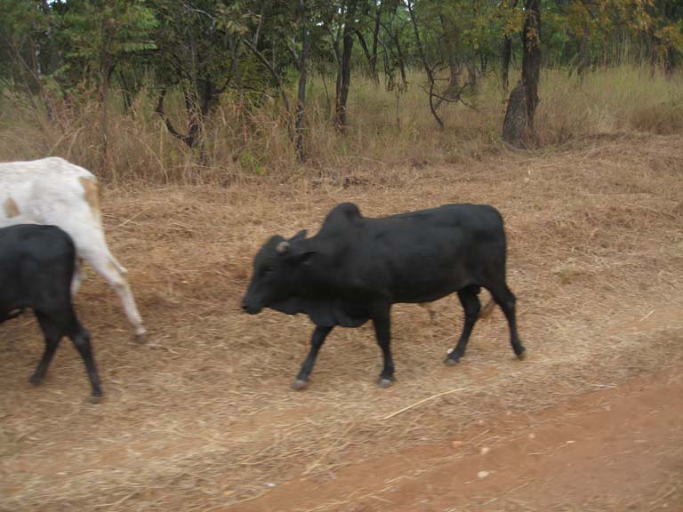 02 Near Chipata