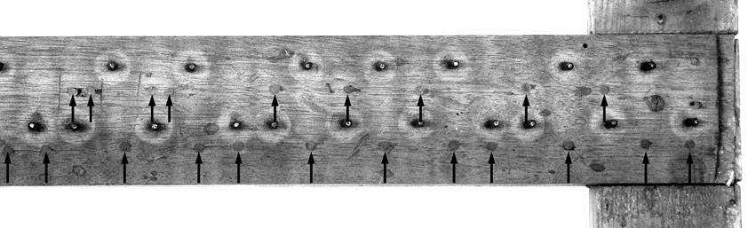 Figure 25b.jpg